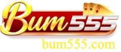 Logo bum555